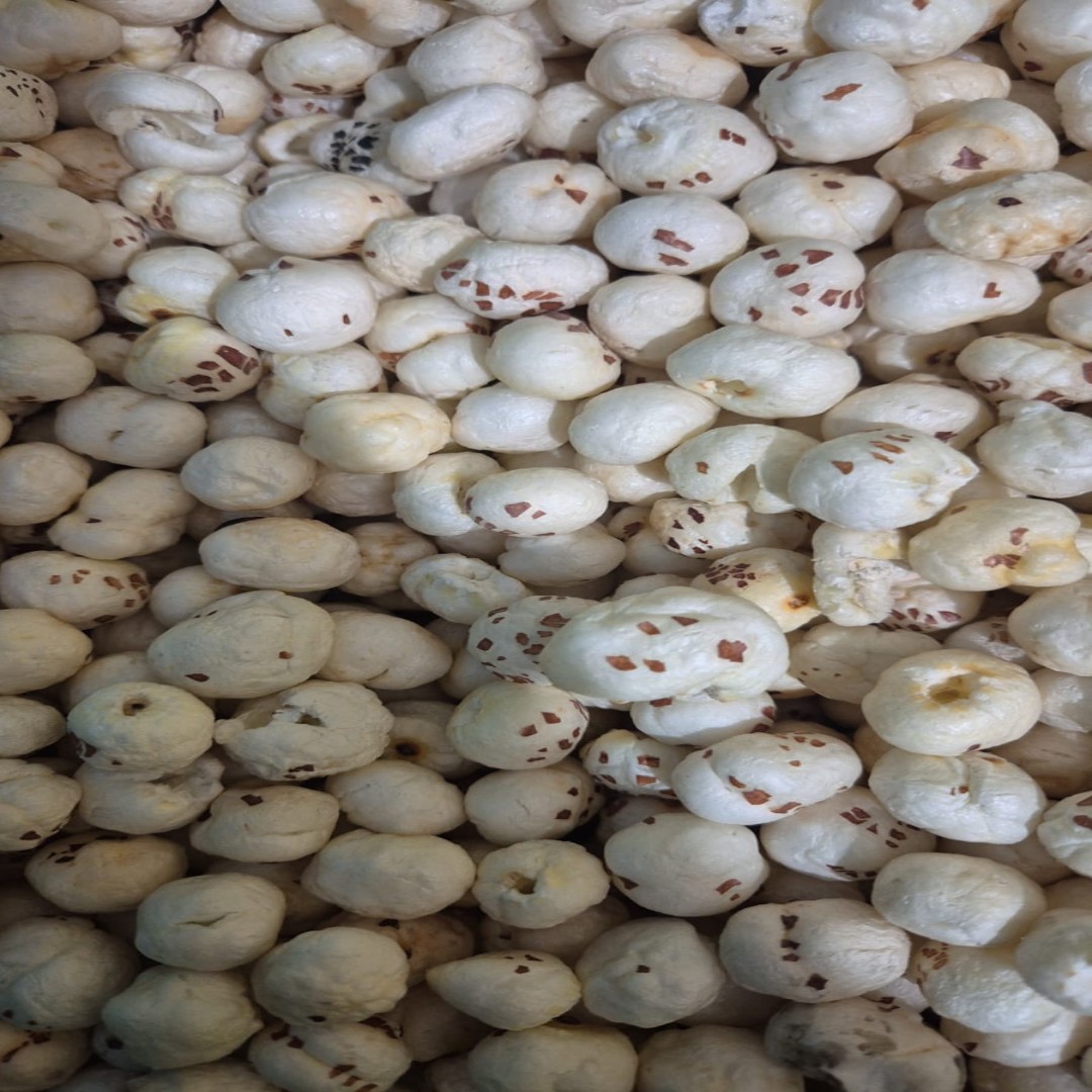 Phool Makhana